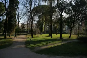 Dettaglio