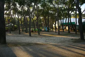 Dettaglio