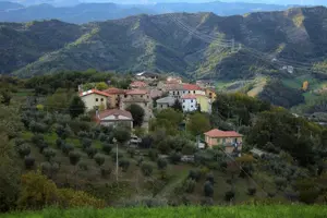 Rosara