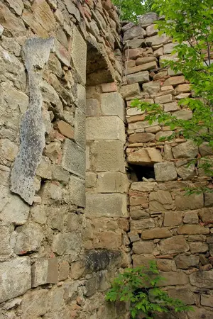 Dettaglio