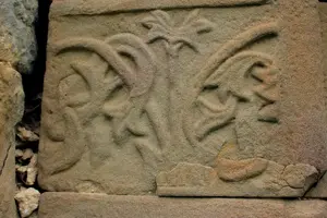 Dettaglio