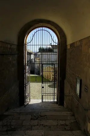 Dettaglio