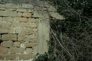 Dettaglio
