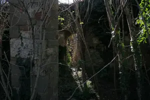 Dettaglio