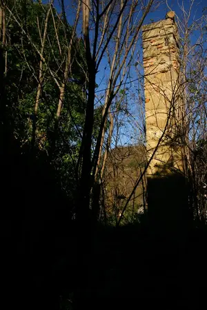 Dettaglio