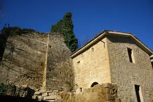 Dettaglio