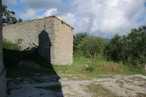 Dettaglio
