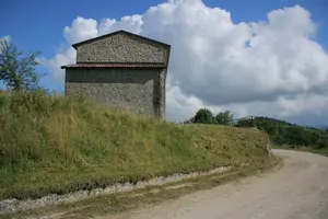Dettaglio