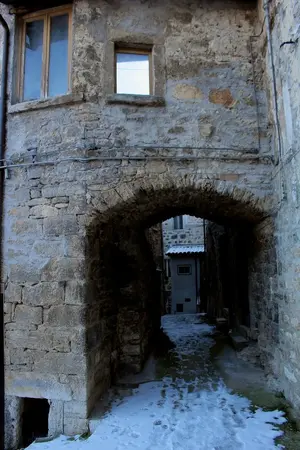 Dettaglio